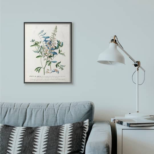 Stupell Industries Botanical Plant Illustration Wall Art in Frame